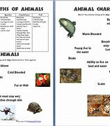 Image result for Animal Characteristics