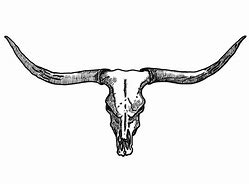 Image result for Buck Skull