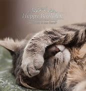 Image result for Happy Birthday Cat Card