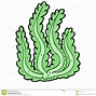 Image result for Algae Graphic