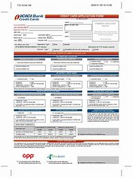 Image result for USCIS Credit Card Form