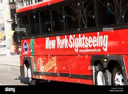 Image result for New York Activity Bus