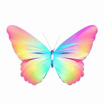 Image result for Pastel Green Butterfly