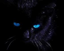 Image result for Cat Eyes Wallpaper