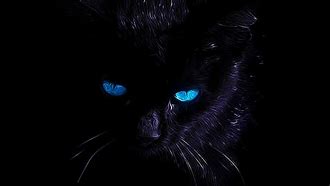 Image result for Cat Eyes Background