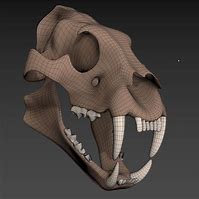 Image result for Tiger Skull 3D Print