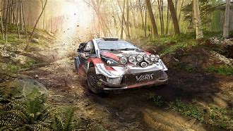 Image result for FIA World Rally