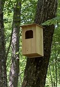 Image result for Barred Owl Nest Box