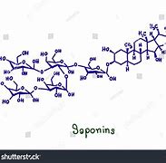 Image result for Saponin Sigma