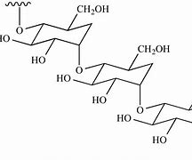 Image result for SPAC Starch Organisation Structure