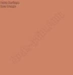 Image result for Dulux Inca Orange