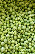 Image result for Pea Hay