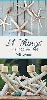 Image result for Driftwood Ideas