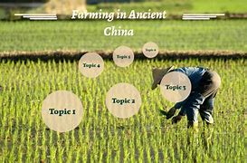 Image result for Ancient China Farming