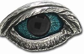 Image result for Vulture Eye