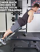 Image result for Lumbar Exercises for Back Pain