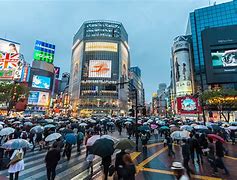 Image result for Tokyo Zebra Road