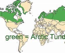 Image result for Arctic Tundra Biome Climate