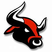 Image result for Bloomingdale Bulls Basketball Logo