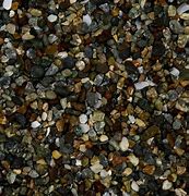 Image result for Beach Shell Jewelry