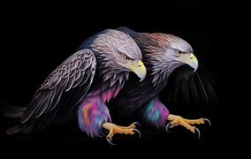 Image result for Birds of Prey Talons