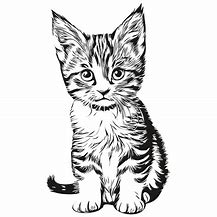 Image result for Kitty Line Drawing