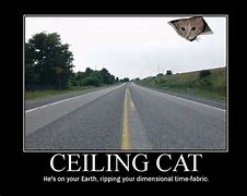 Image result for Ceiling Cat Meme