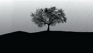 Image result for Black Tree with Hedgehog Wallpaper