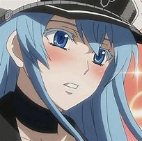 Image result for Esdeath Character Design