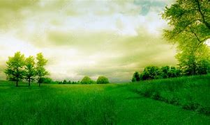 Image result for Dreamy World Landscape