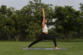 Image result for Ashta Chandrasana