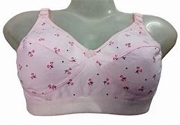 Image result for Baby Pink Bra