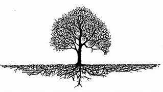 Image result for Tree Roots Clip Art Black and White