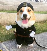 Image result for Funny Police Dog Memes