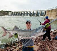 Image result for Lewis and Clark Pacific Ocean