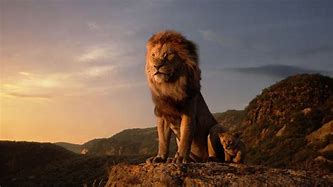 Image result for Lion Hi Res