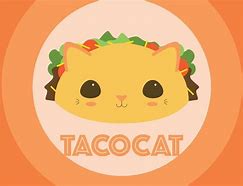 Image result for Mexican Taco Cat