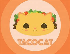 Image result for Taco Cat Pool