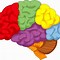 Image result for Data-Driven Brain Clip Art