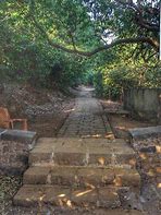 Image result for Rajmachi Wildlife Sanctuary