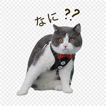 Image result for Cute Purple Cat Emoji