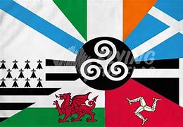 Image result for Celts Flag