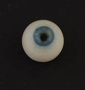 Image result for Human Eyeball