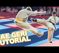 Image result for Front Kick by Mea Geri