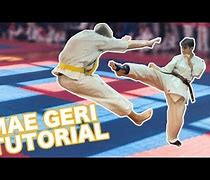 Image result for Front Kick by Mea Geri