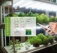 Image result for Vertical Insect Farming Industry