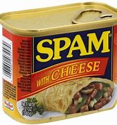 Image result for Spam with Cheese