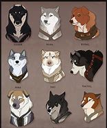 Image result for Doge Fan Art