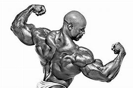 Image result for Build Muscle