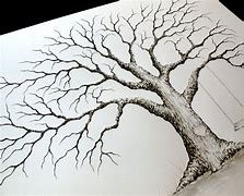 Image result for Best Tree Drawing